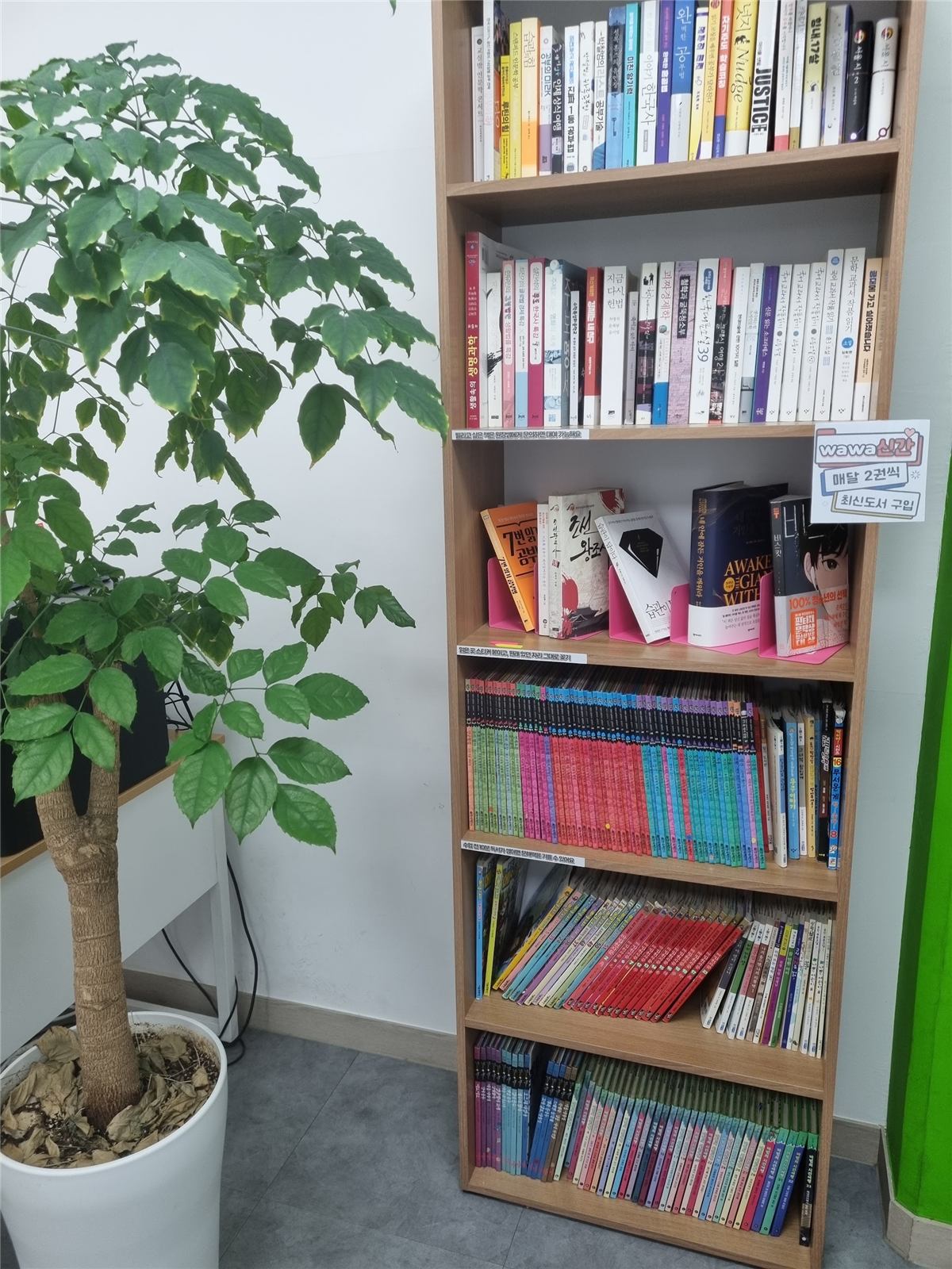 미사점 한쪽 벽의 책장 — 나무 책장 여섯 칸에 공부법 책과 청소년 도서, 학습만화가 색깔별로 빼곡히 꽂혀 있다. 한쪽에 wawa신간 매달 2권씩 최신도서 구입이라고 적힌 안내판이 붙어 있고 옆에는 화분이 놓여 있다