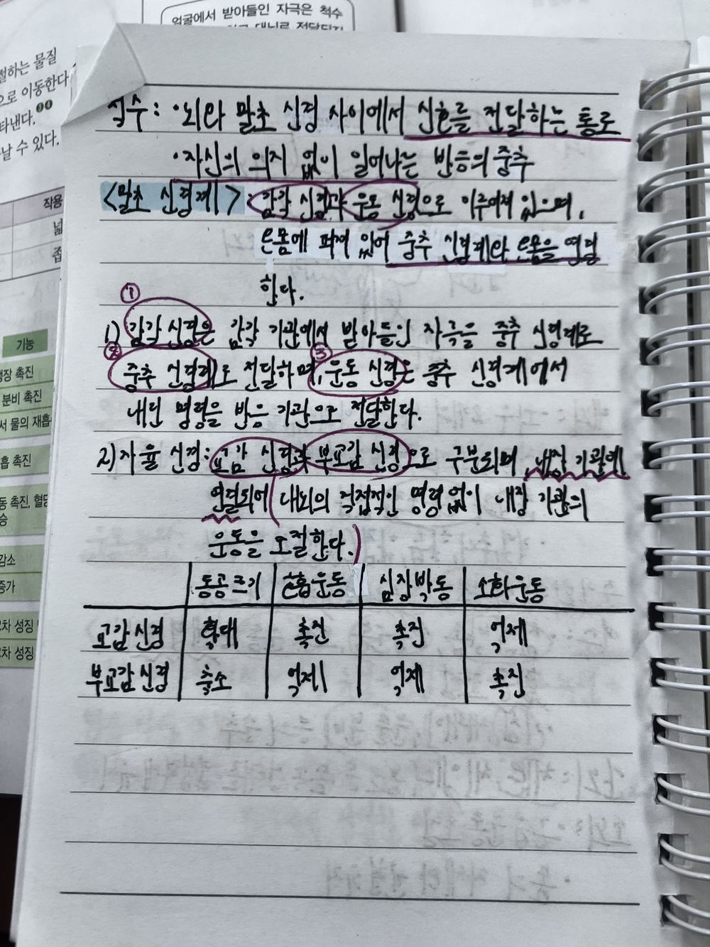 염창동 와와학습코칭 염창점 · 여름방학 중간 점검