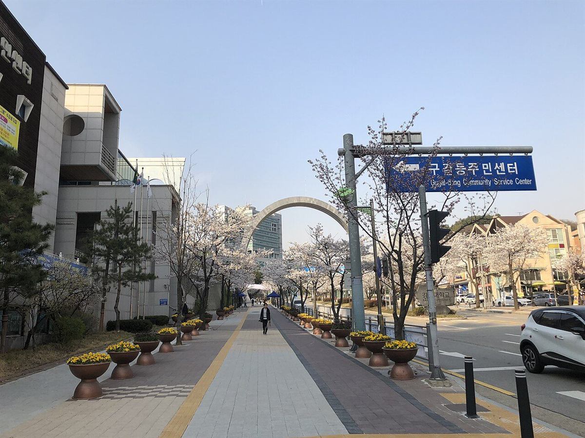 경기 용인시 기흥구 강남대학교 앞 거리 — 벚꽃이 핀 보도와 아치 구조물, 구갈동주민센터 표지판