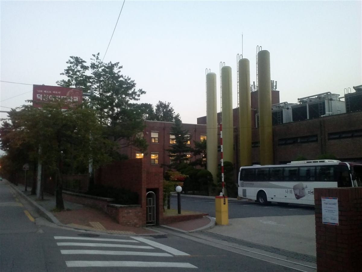 덕성여자대학교 캠퍼스 — 나무가 우거진 길 옆으로 학교 건물이 보이는 모습
