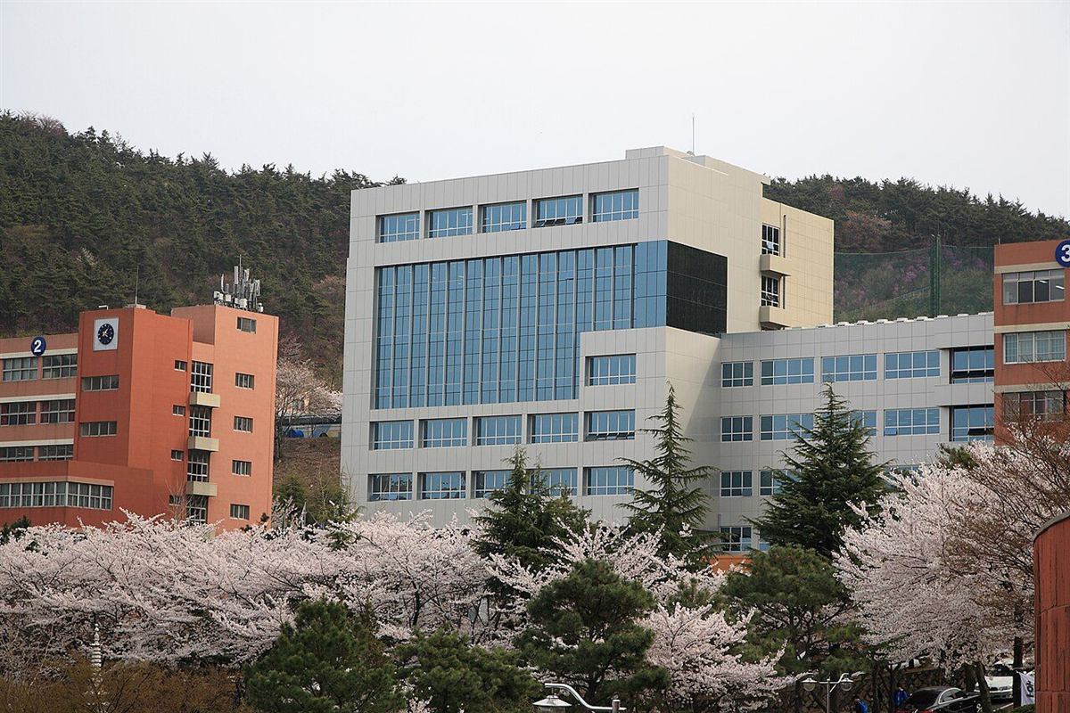 부산 부산진구 동의대학교 본관 건물과 봄 벚꽃이 핀 캠퍼스