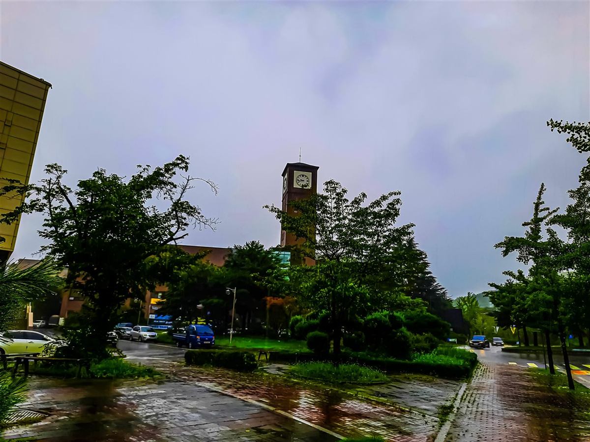 전북 전주시 완산구 전주대학교 캠퍼스 — 나무 사이로 보이는 붉은 벽돌 시계탑과 비 내린 캠퍼스 길